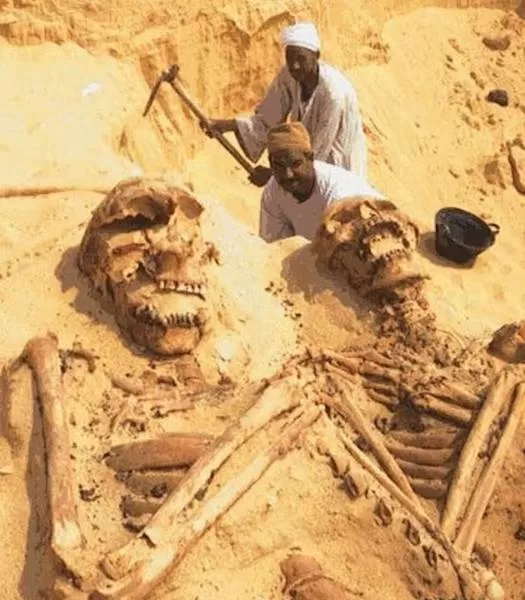 The most controversial giant skeletons in history