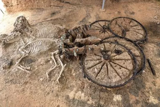 2000 years old #Thracian chariot with horse skeletons. Found in Bulgaria,  Karanovo . : r/Archaeology