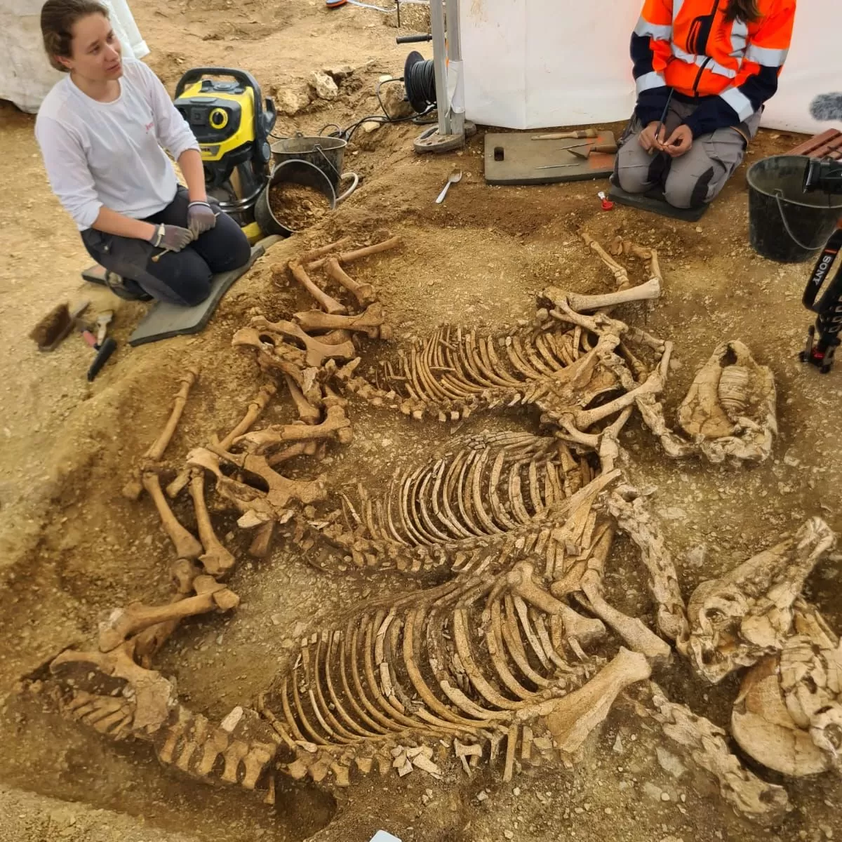 INFORMANDO. Arqueología: misteriosos enterramientos galos de...