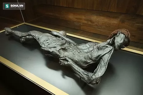 El misterio de la extraña "momia sacrificial" de más de 2300 años de antigüedad en Dinamarca