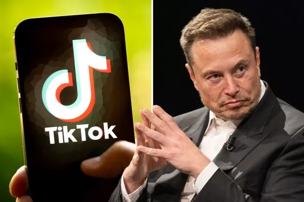 tiktok #news #elonmusk #fortuna