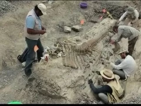 Archaeology dig reveals preserved dinosaur - YouTube