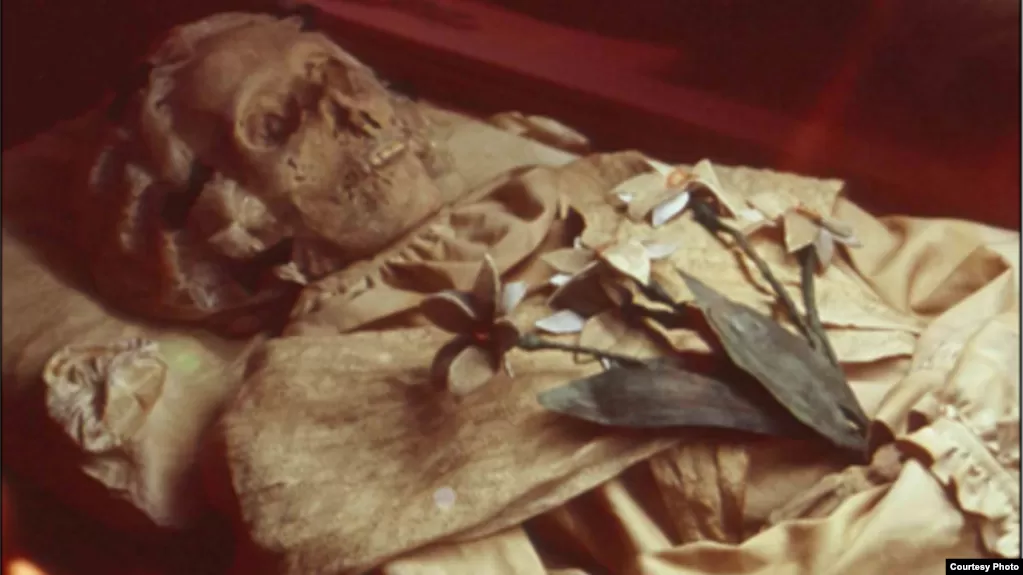 Mummified remains of Terézia Hausmann (Hungarian Natural History Museum)
