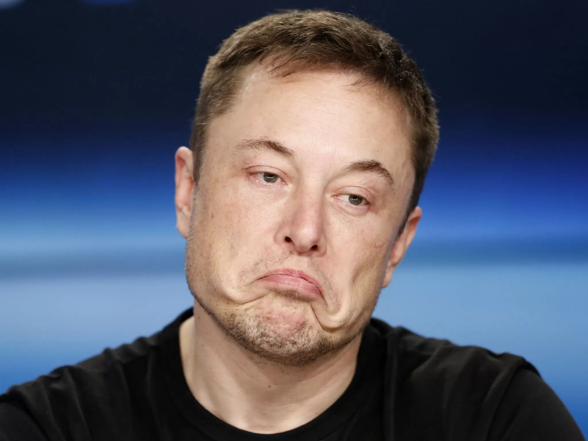 Elon Musk's 'truly bizarre' Tesla earnings call leaves Wall ...