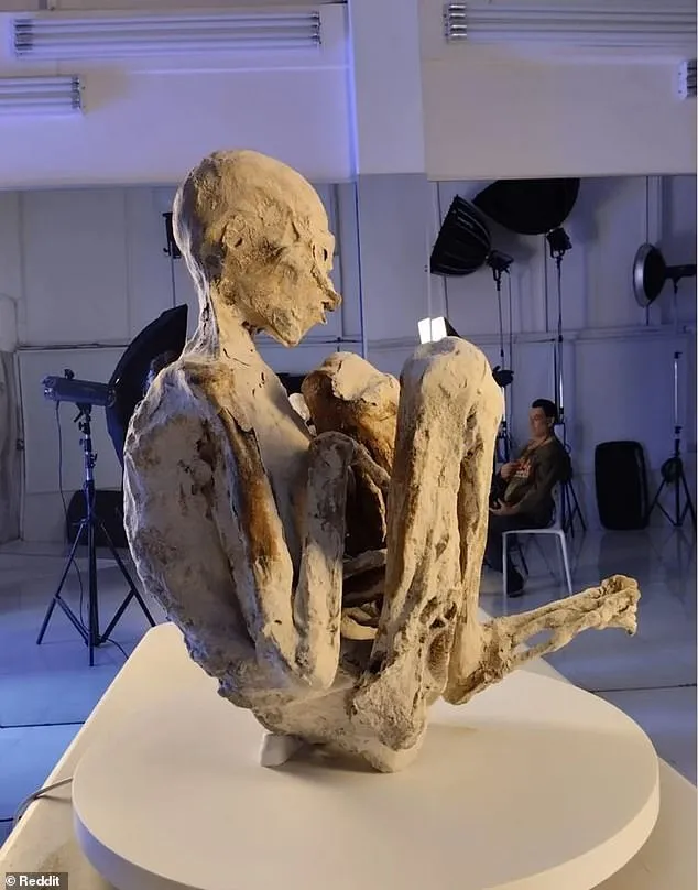 Paloma (en la foto) y Antonio comparten los mismos tres dedos que las momias anteriores, pero tienen ojos pequeños y rasgados y se los describe como del tamaño de un "adulto bajo".
