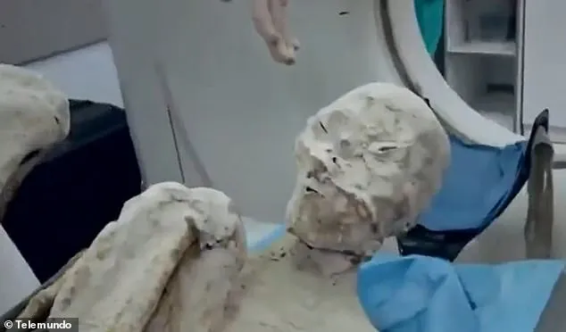 La periodista Joyce Mantella, quien se ha dedicado a demostrar que las momias son reales, dijo que "se revelarán más detalles en 2025" sobre las criaturas, especialmente el lugar secreto donde se encontraron los cuerpos.