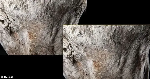 Experts believe Paloma lived up to 60 years. "This is the first time we've found a dead body with hair, hair with copper-colored characteristics," said Dr. Ruiz Villa.