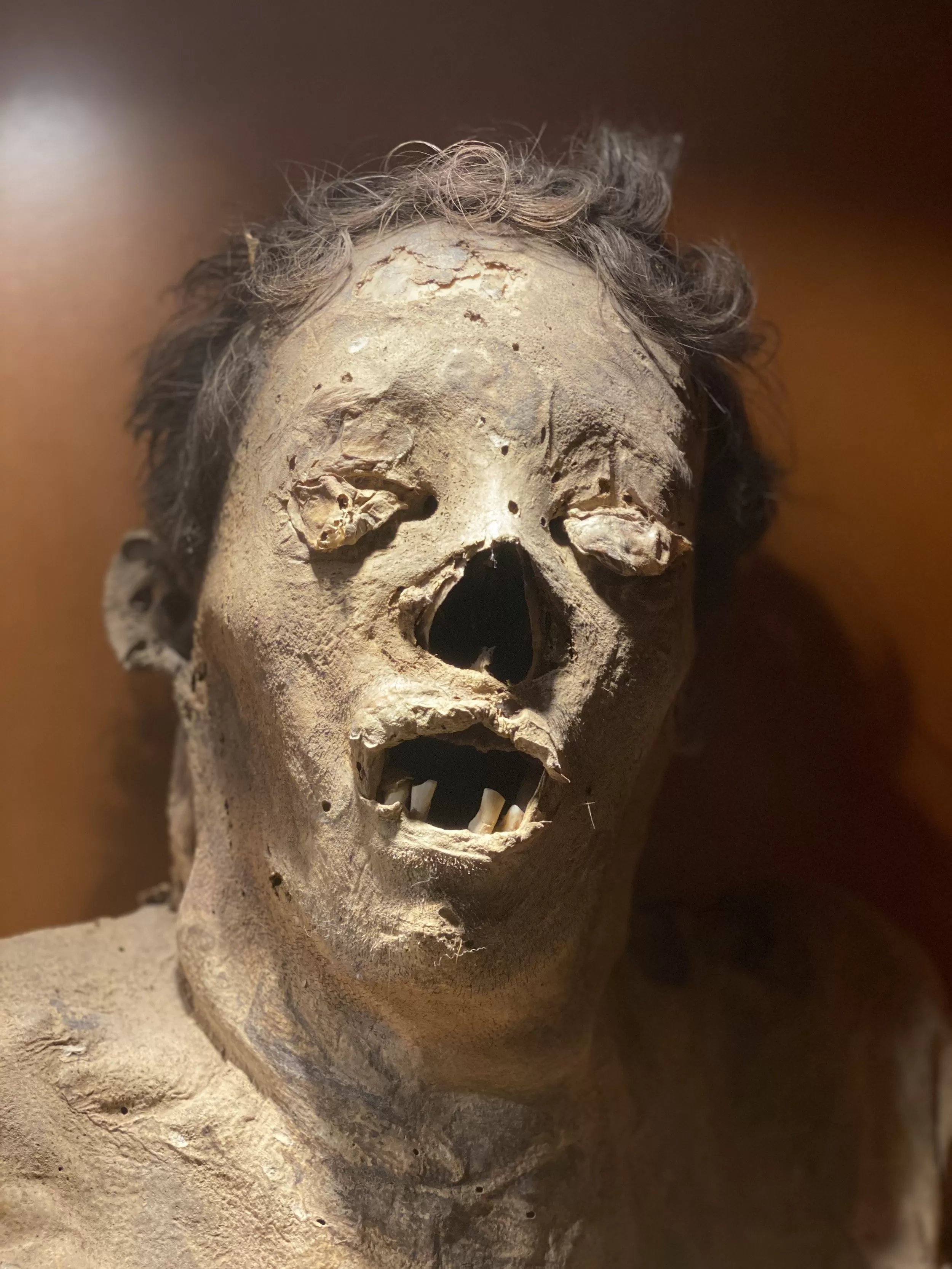 Testa di mummia con capelli e occhi che perdono e si seccano al Museo de la Mumias a Guanajuato