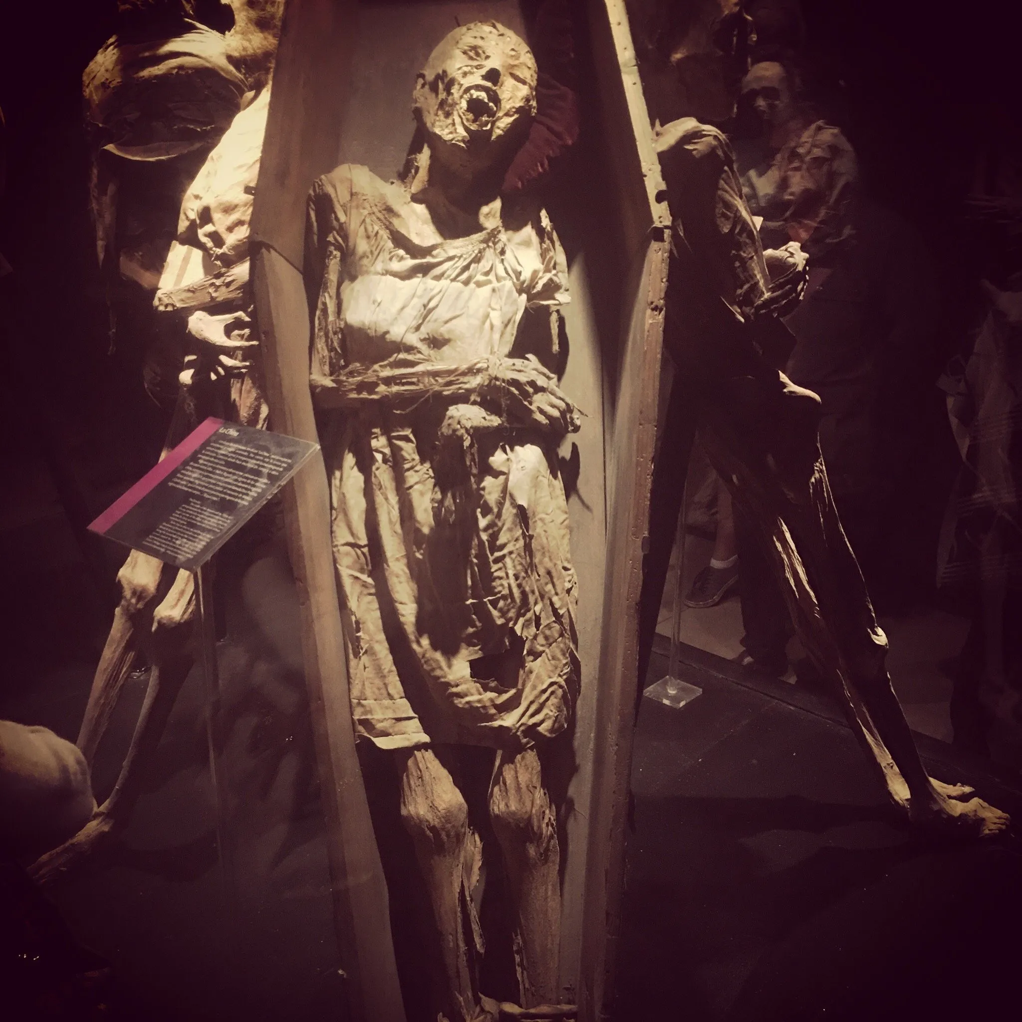 Gli archeologi egiziani scoprono una "sbalorditiva" mummia di 4.000 anni fa in una camera funeraria nascosta: gli esperti sono scioccati dalla misteriosa scoperta!