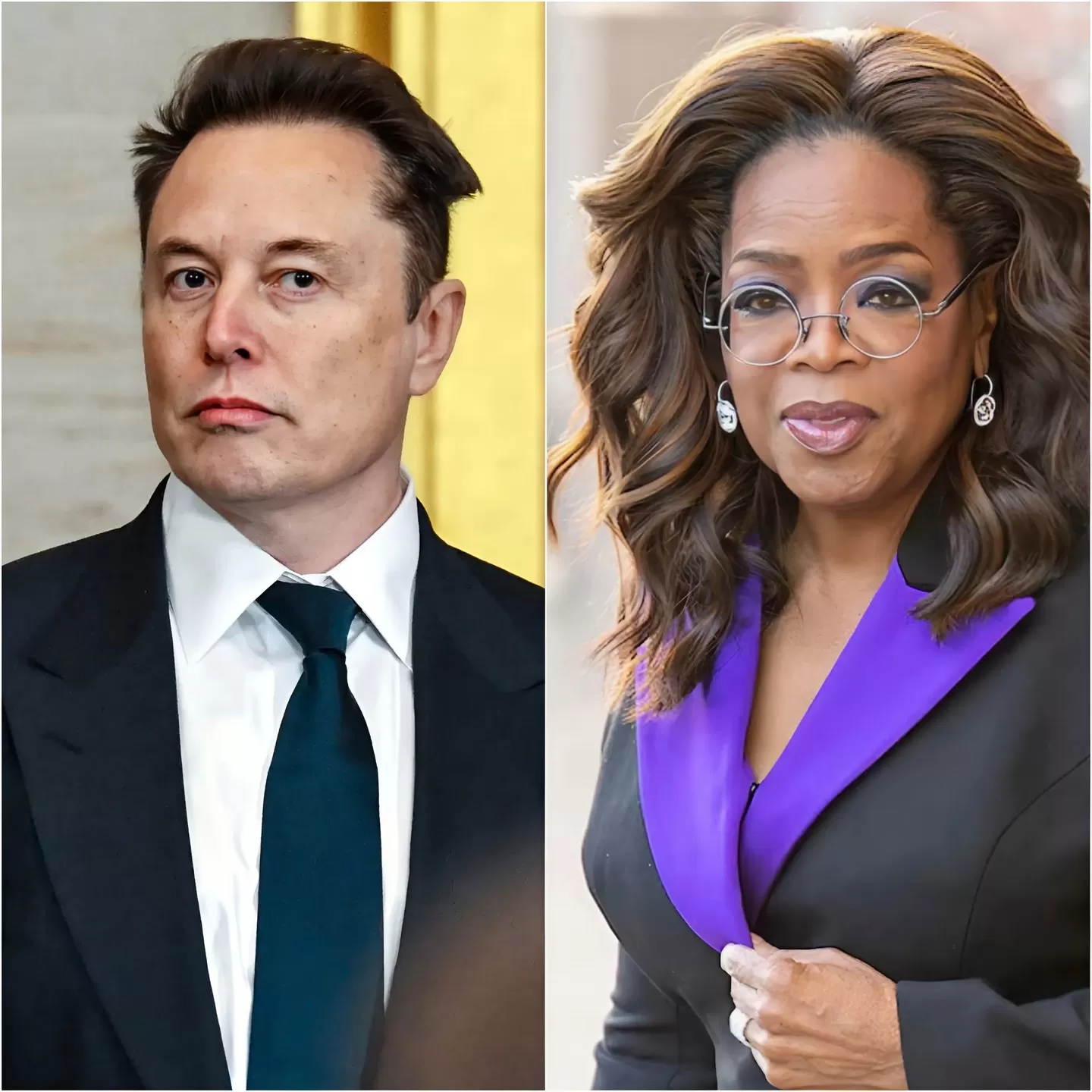 Cover Image for Oprah Winfrey decide di chiudere il suo leggendario show e progetta di trasferirsi in Italia. Spiega: “Non posso vivere in America per i prossimi quattro anni e respirare la stessa aria di ELON MUSK”