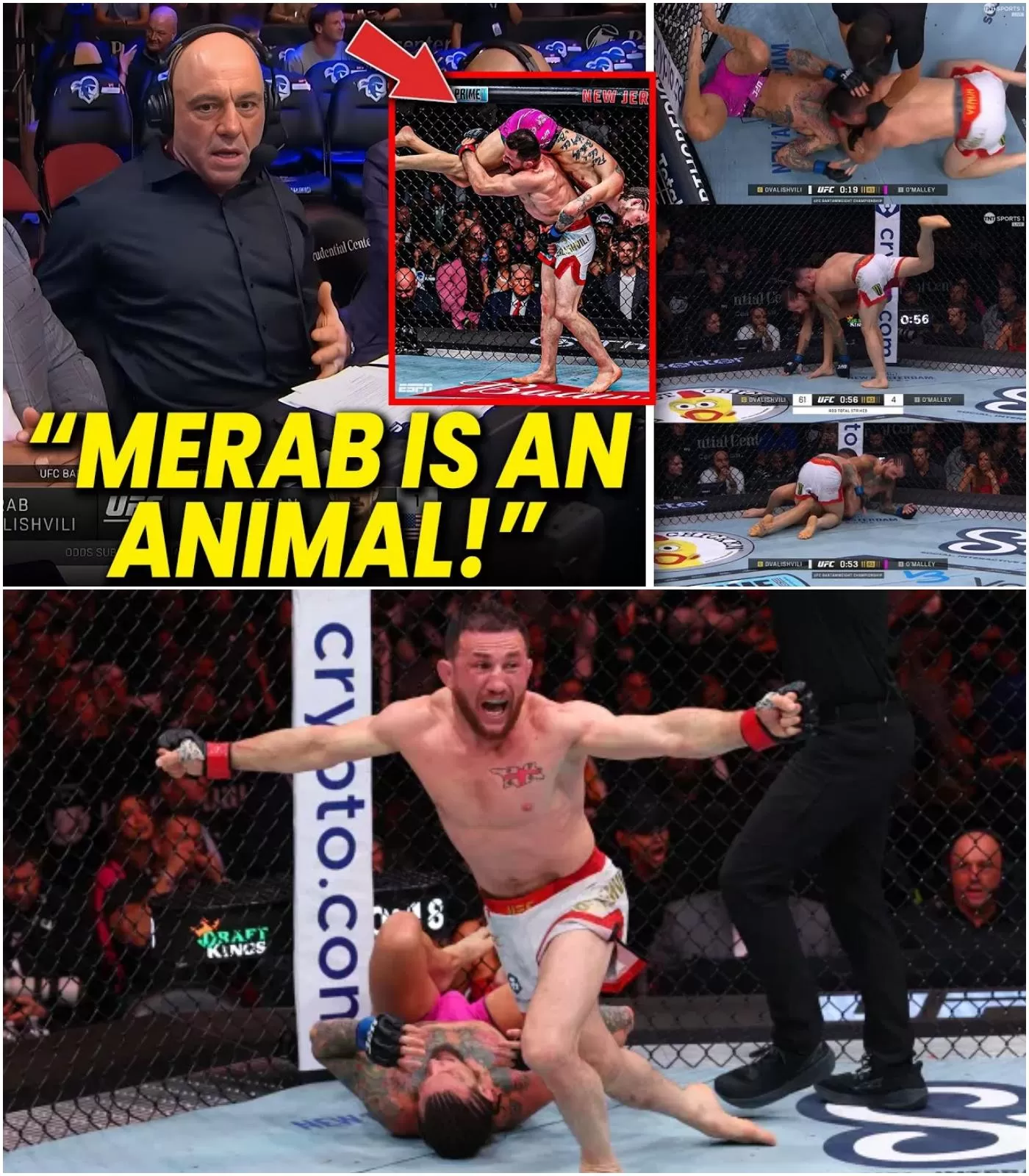 Cover Image for Joe Rogan Reacts to Merab Dvalishvili Submission Victory Over Sean O’Malley at UFC316!