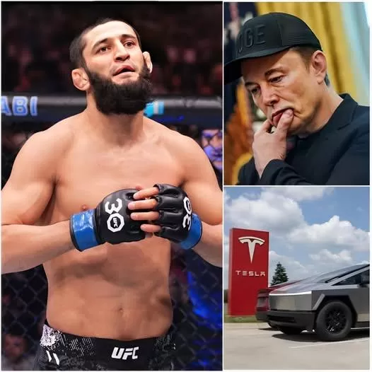 Cover Image for BREAKING NEWS: Elon Musk Tried to Make Khamzat Chimaev the Face of the Tesla Cybertruck with a $40 Million Offer – But His Response Was a Complete Shock to the World