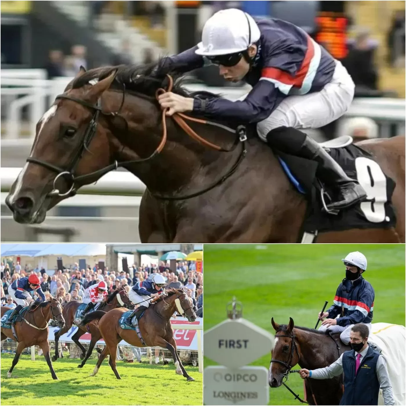 Cover Image for THE LAST DANCE!! Legendary racehorse and ‘true warrior’ set for emotional final run of his career at track he ‘absolutely loves’